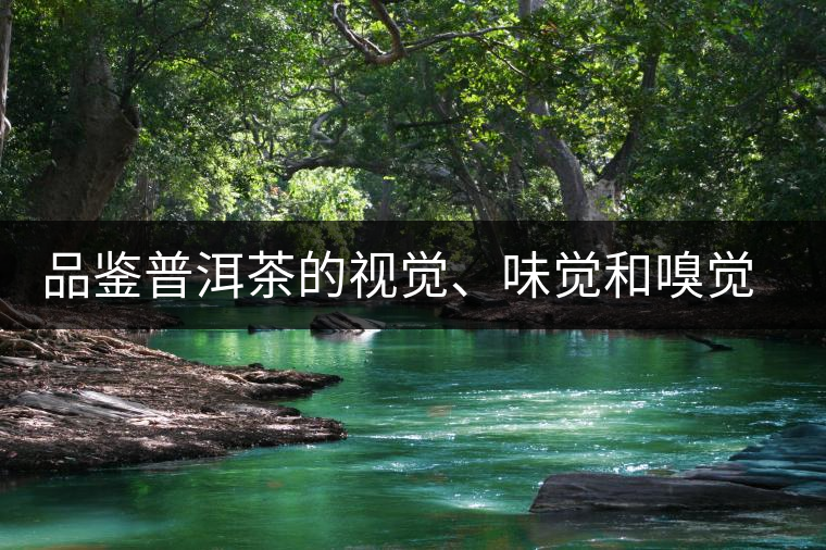 品鑒普洱茶的視覺、味覺和嗅覺指標(biāo)