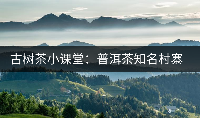 古樹茶小課堂:普洱茶知名村寨的生態(tài)環(huán)境如何? 古樹茶小課堂:普洱茶知名村寨的生態(tài)環(huán)境如何?
