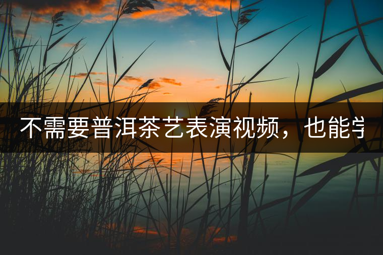 不需要普洱茶藝表演視頻，也能學(xué)會(huì)的茶藝！