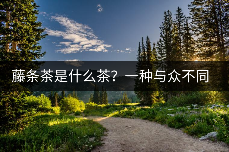 藤條茶是什么茶？一種與眾不同的普洱茶樹形態(tài)！