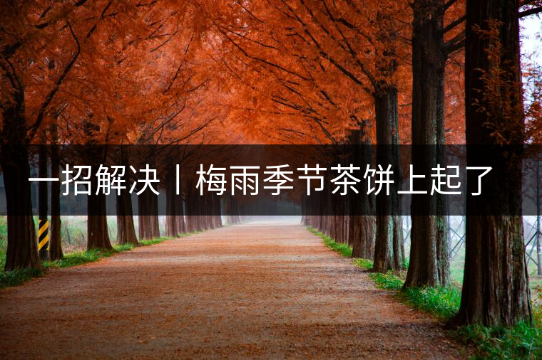 一招解決丨梅雨季節(jié)茶餅上起了白霜白點(diǎn)怎么辦？