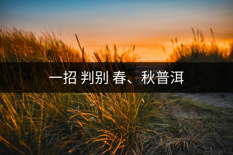 一招 判別 春、秋普洱