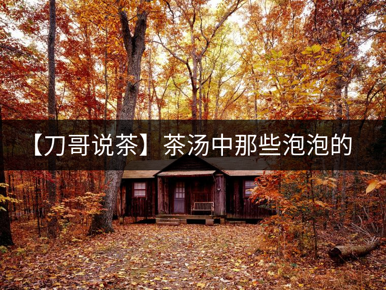 【刀哥說茶】茶湯中那些泡泡的始作俑者，茶皂素只是其中一個(gè)