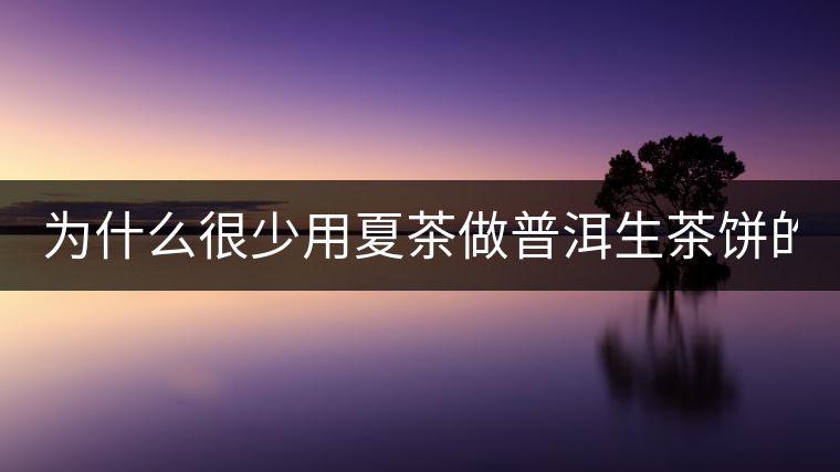 為什么很少用夏茶做普洱生茶餅的？