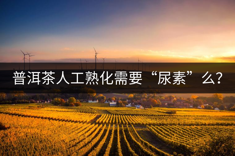 普洱茶人工熟化需要“尿素”么？