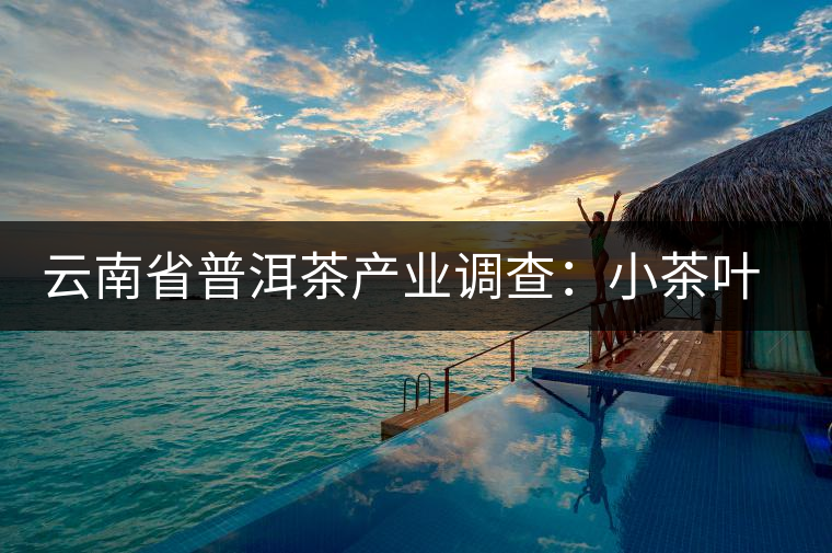 云南省普洱茶產業(yè)調查：小茶葉如何提檔升級
