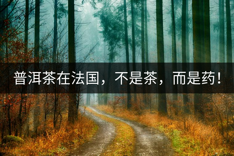 普洱茶在法國(guó)，不是茶，而是藥！