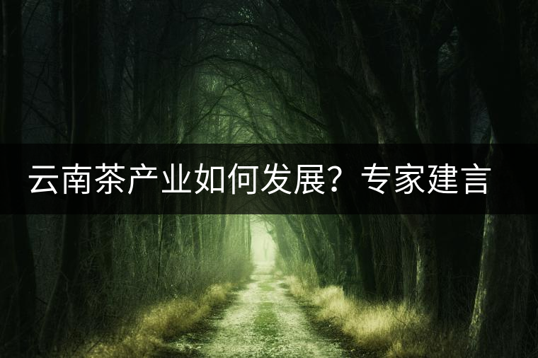 云南茶產(chǎn)業(yè)如何發(fā)展？專家建言：產(chǎn)業(yè)復(fù)興助脫貧