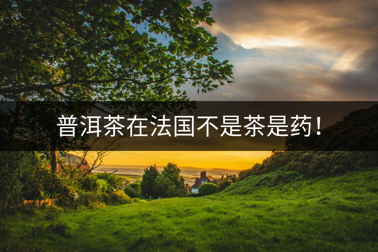 普洱茶在法國(guó)不是茶是藥！