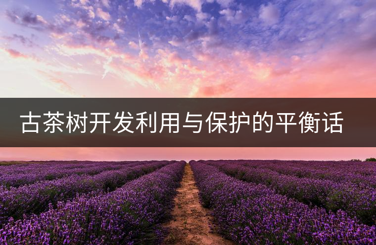 古茶樹開發(fā)利用與保護的平衡話題再次引人關(guān)注 古茶樹開發(fā)利用與保護的平衡話題再次引人關(guān)注