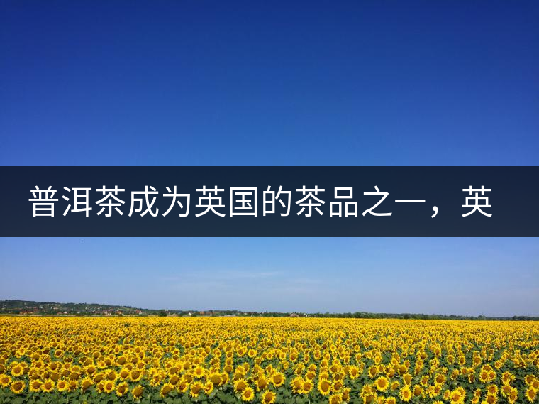 普洱茶成為英國(guó)的茶品之一，英國(guó)雜志給出7大理由