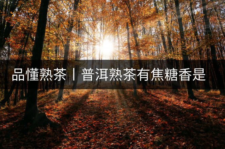 品懂熟茶丨普洱熟茶有焦糖香是好還是不好的表現(xiàn)？