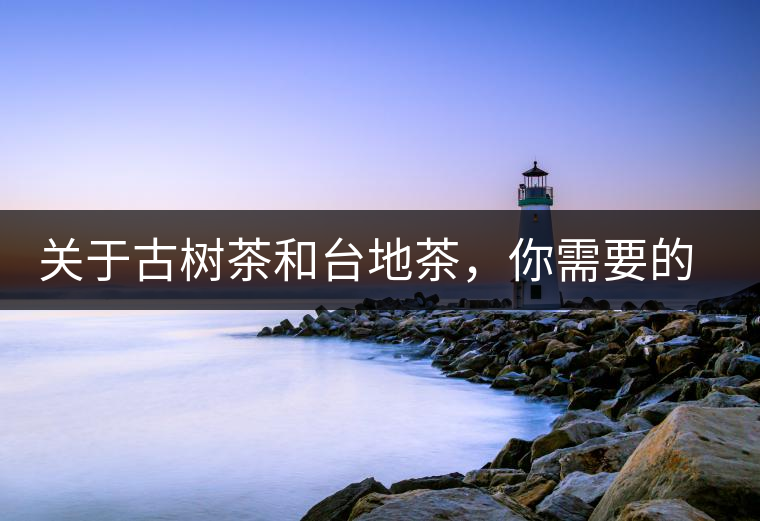 關(guān)于古樹茶和臺(tái)地茶，你需要的知識(shí)全在這里了