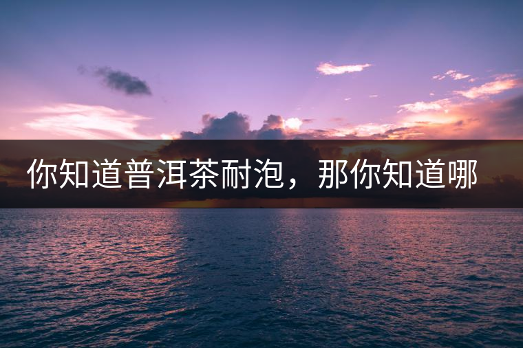 你知道普洱茶耐泡，那你知道哪一類普洱茶比較耐泡？