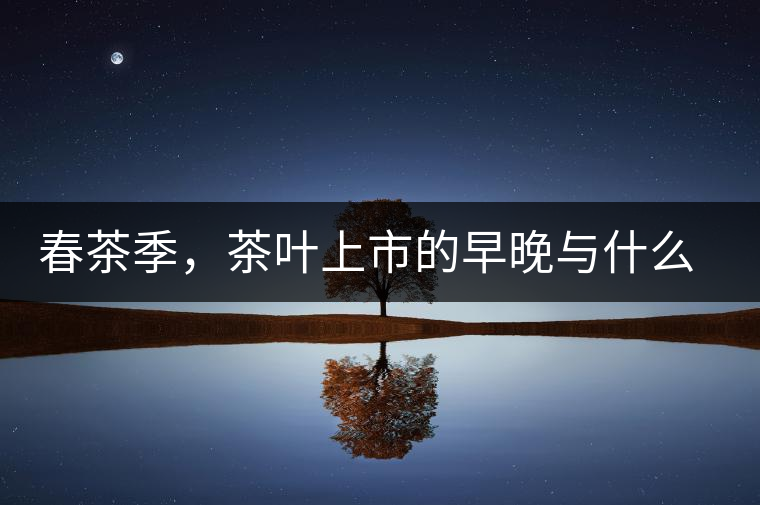 春茶季，茶葉上市的早晚與什么有關(guān)