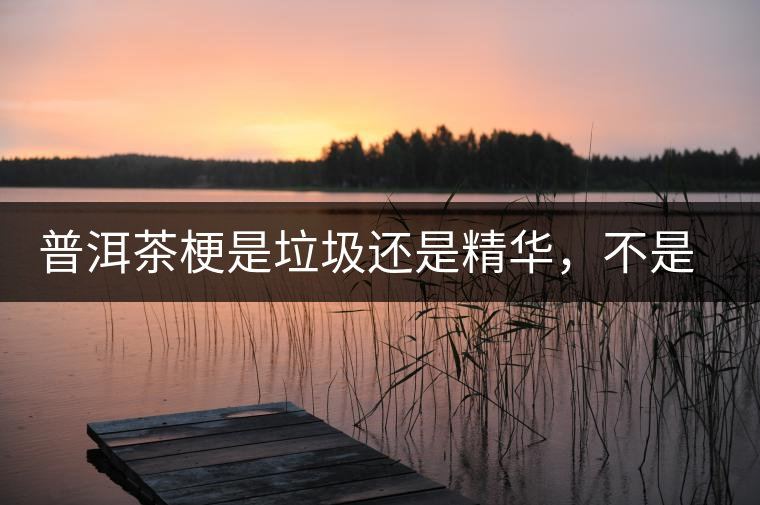 普洱茶梗是垃圾還是精華，不是一個人說的算