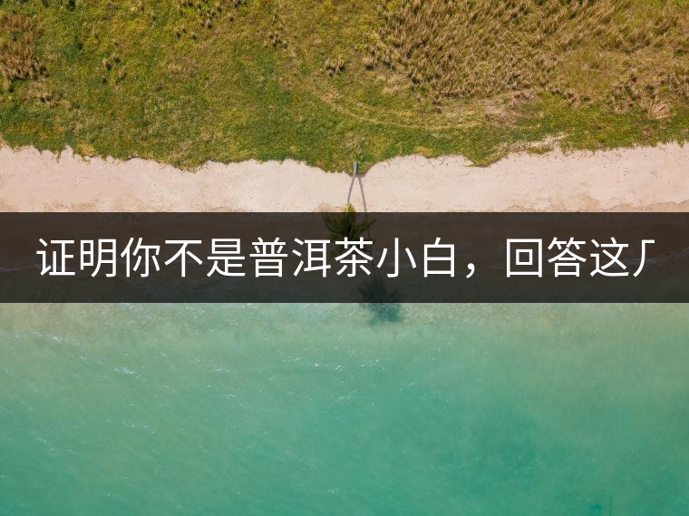 證明你不是普洱茶小白，回答這幾個問題先！