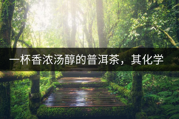 一杯香濃湯醇的普洱茶，其化學(xué)成分是怎樣的？