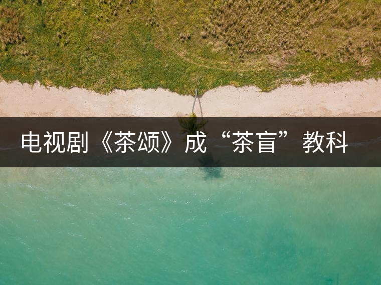 電視劇《茶頌》成“茶盲”教科書(shū) 電視劇《茶頌》成“茶盲”教科書(shū)