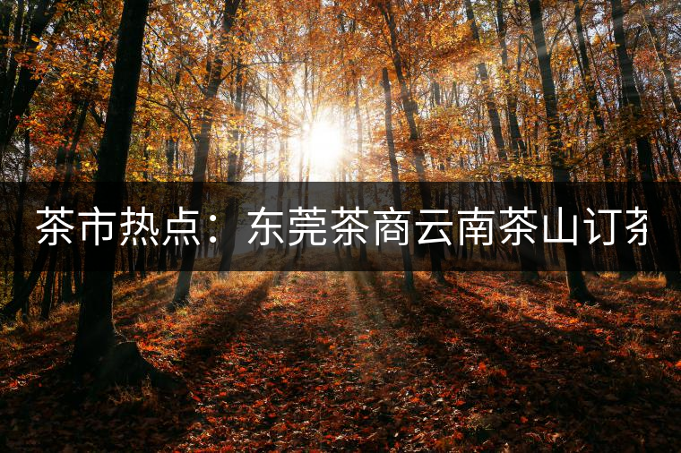 茶市熱點(diǎn)：東莞茶商云南茶山訂茶 豪派300萬