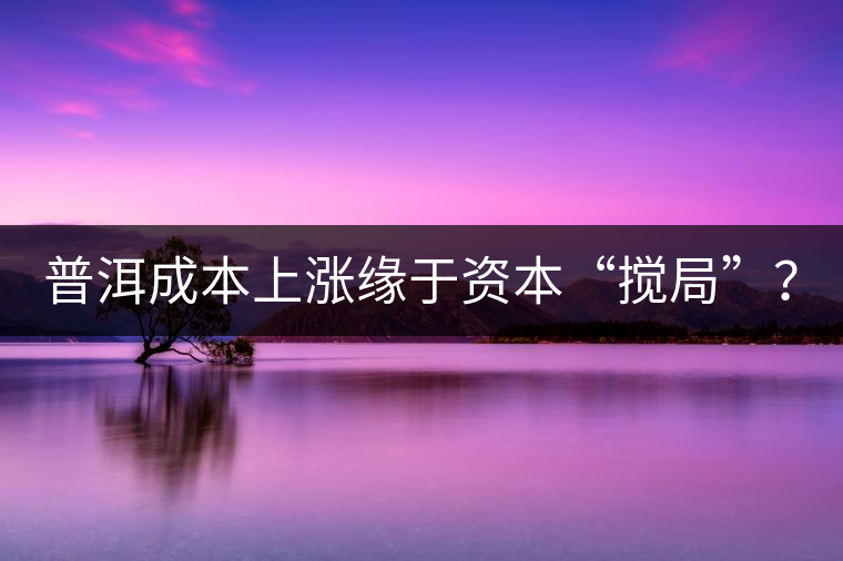 普洱成本上漲緣于資本“攪局”？