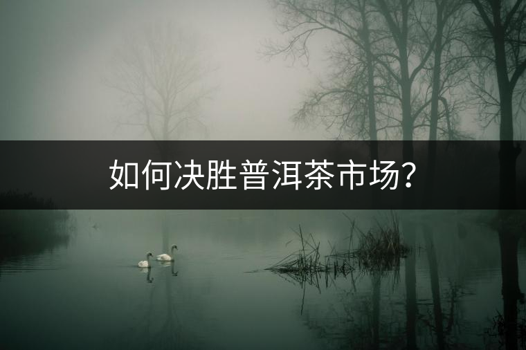 如何決勝普洱茶市場(chǎng)？