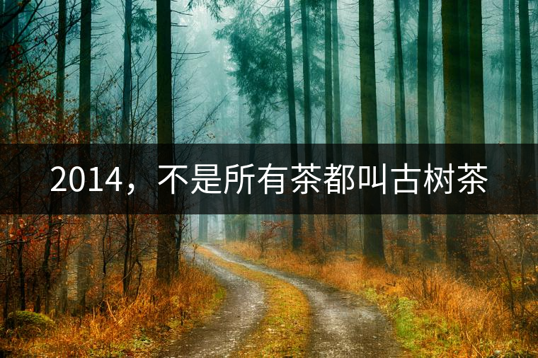 2014，不是所有茶都叫古樹(shù)茶