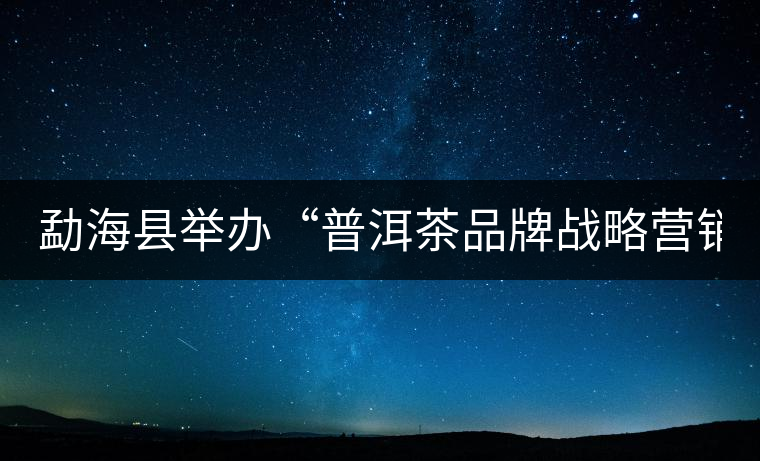 勐?？h舉辦“普洱茶品牌戰(zhàn)略營銷專題講座”