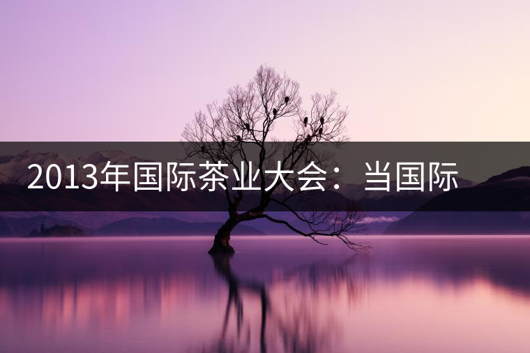 2013年國(guó)際茶業(yè)大會(huì)：當(dāng)國(guó)際元素遇上普洱