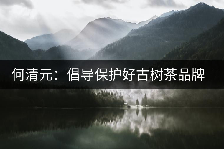 何清元：倡導(dǎo)保護好古樹茶品牌資源