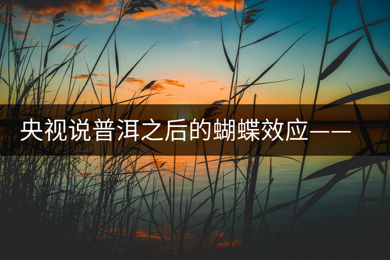 央視說普洱之后的蝴蝶效應(yīng)——過度開采會出現(xiàn)“死循環(huán)”？