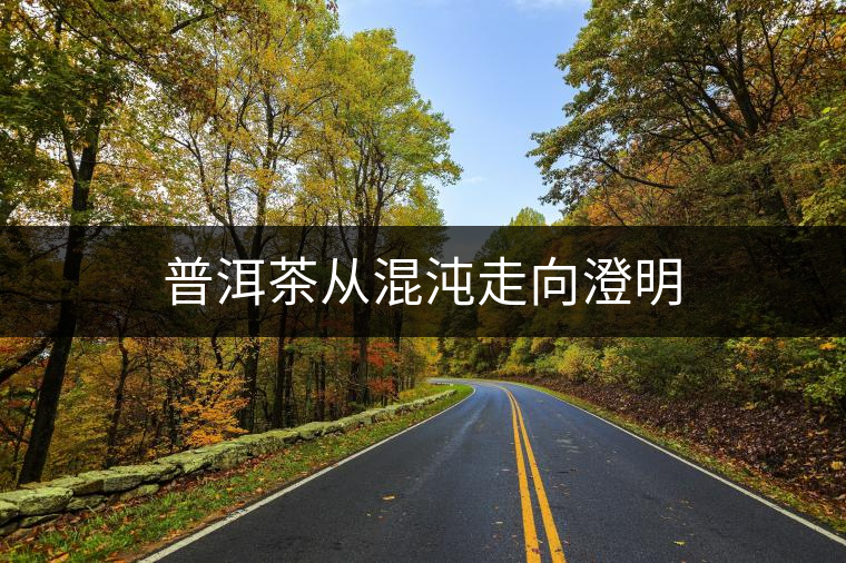 普洱茶從混沌走向澄明