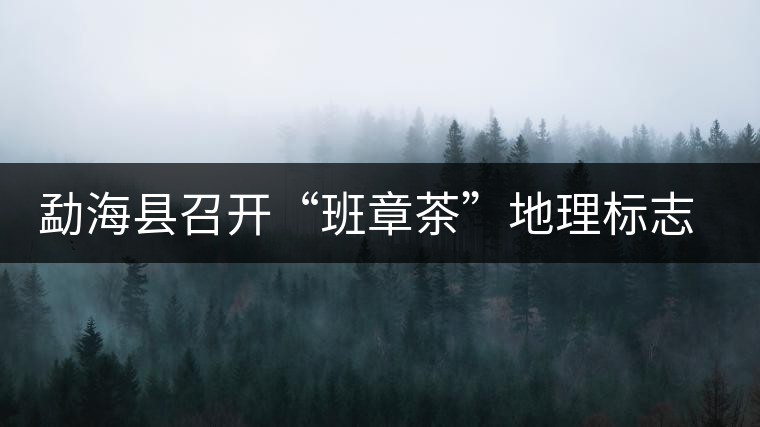勐?？h召開“班章茶”地理標(biāo)志認(rèn)證評(píng)審會(huì)