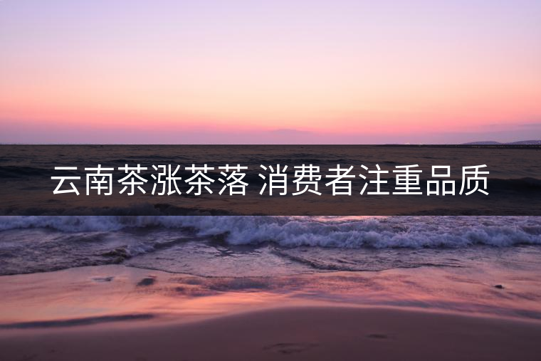 云南茶漲茶落 消費(fèi)者注重品質(zhì)