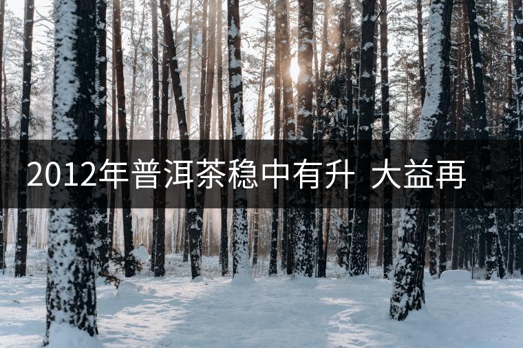 2012年普洱茶穩(wěn)中有升  大益再推五子登科