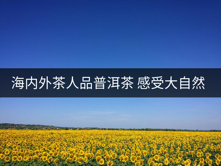 海內(nèi)外茶人品普洱茶 感受大自然恩賜