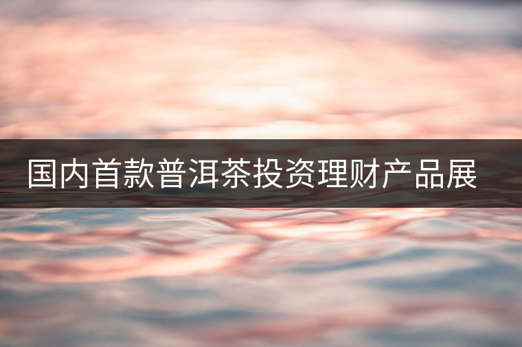 國(guó)內(nèi)首款普洱茶投資理財(cái)產(chǎn)品展開路演推介