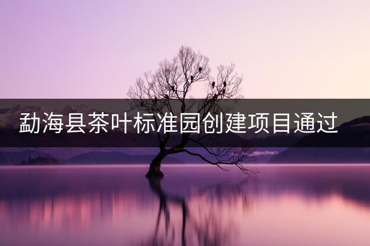 勐?？h茶葉標(biāo)準(zhǔn)園創(chuàng)建項(xiàng)目通過省級(jí)驗(yàn)收
