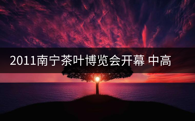 2011南寧茶葉博覽會(huì)開幕 中高檔普洱茶受追捧