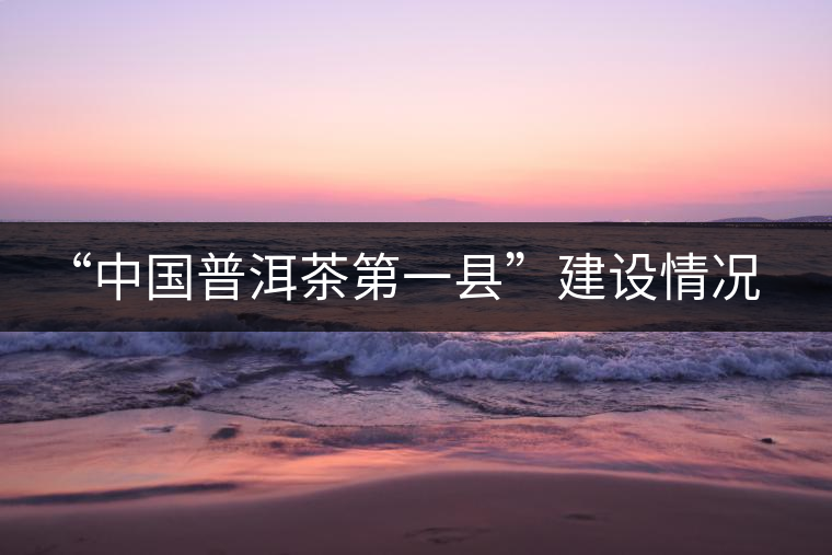 “中國普洱茶第一縣”建設情況匯報