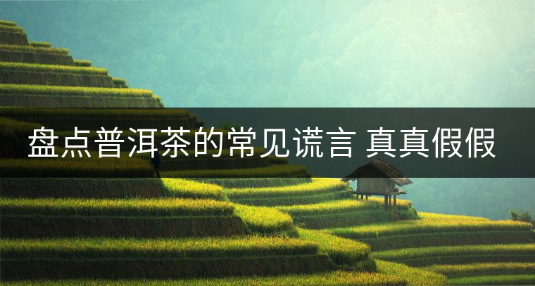 盤點(diǎn)普洱茶的常見謊言 真真假假 看看你認(rèn)可幾條？