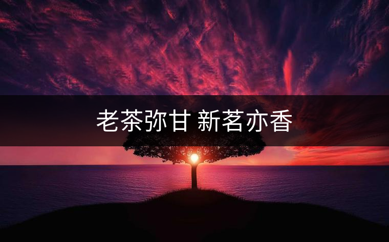 老茶彌甘 新茗亦香 老茶彌甘 新茗亦香