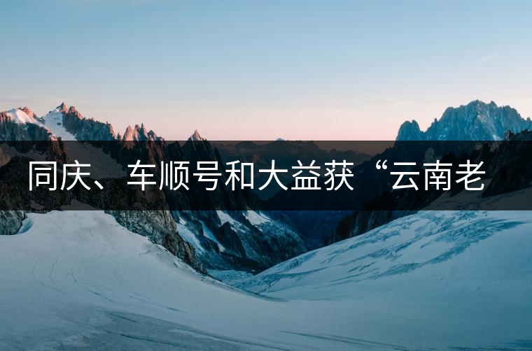 同慶、車順號(hào)和大益獲“云南老字號(hào)”稱號(hào)