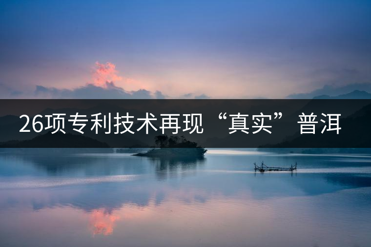 26項專利技術再現(xiàn)“真實”普洱茶