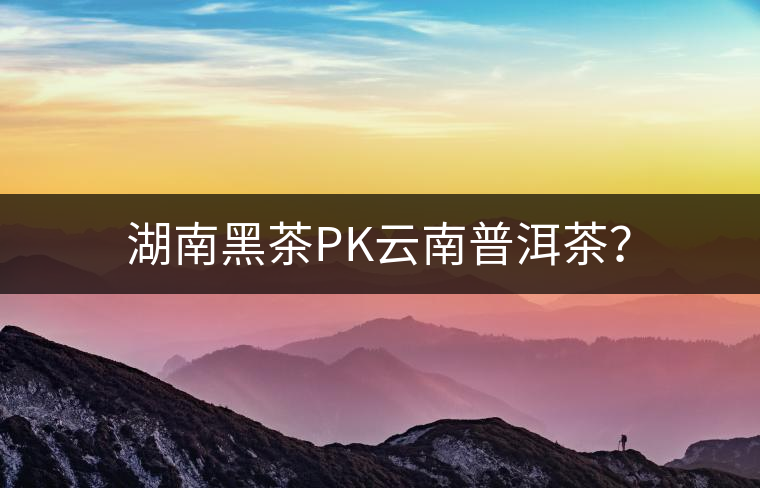 湖南黑茶PK云南普洱茶？