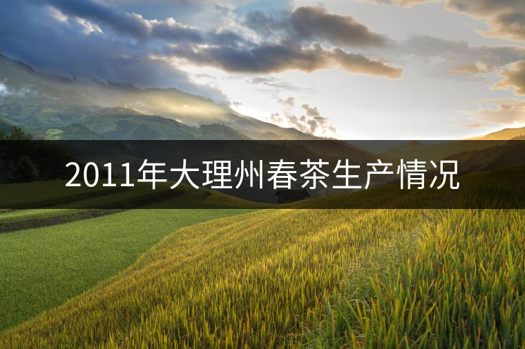 2011年大理州春茶生產情況