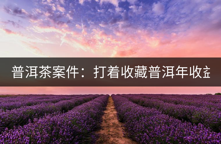 普洱茶案件：打著收藏普洱年收益不低于16%，非法吸收公眾存款