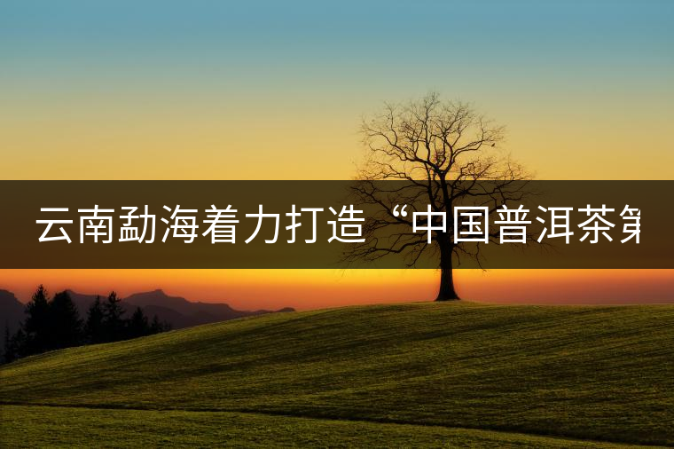 云南勐海著力打造“中國(guó)普洱茶第一縣”