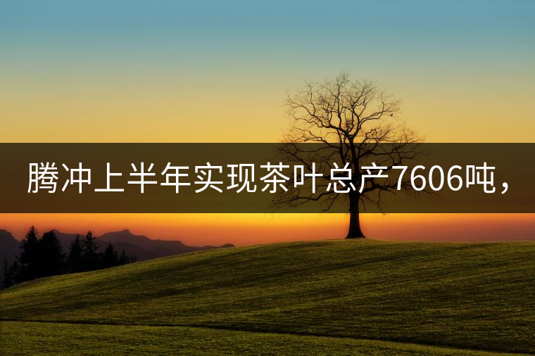 騰沖上半年實(shí)現(xiàn)茶葉總產(chǎn)7606噸，總產(chǎn)值5.58億元