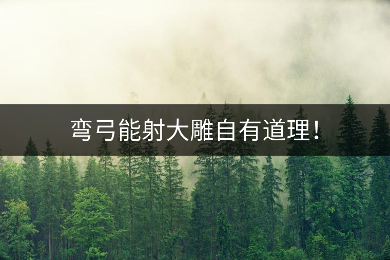 彎弓能射大雕自有道理！